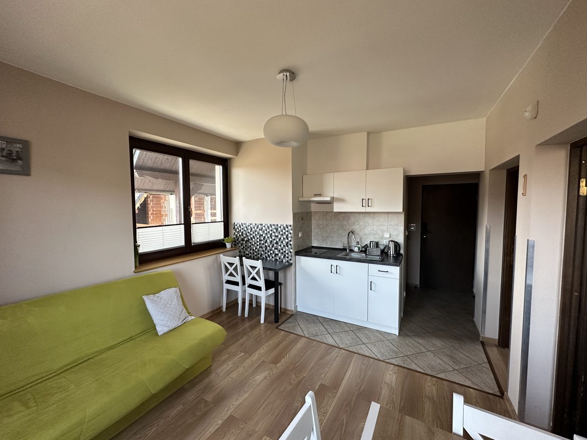 Apartment 2, living room and kitchenette